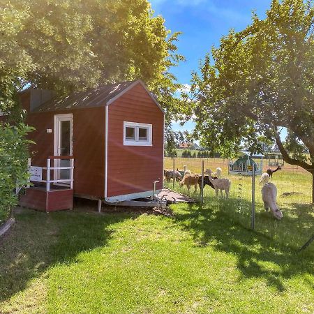 Tiny House auf der Alpaka Farm Villa Rubkow Bagian luar foto