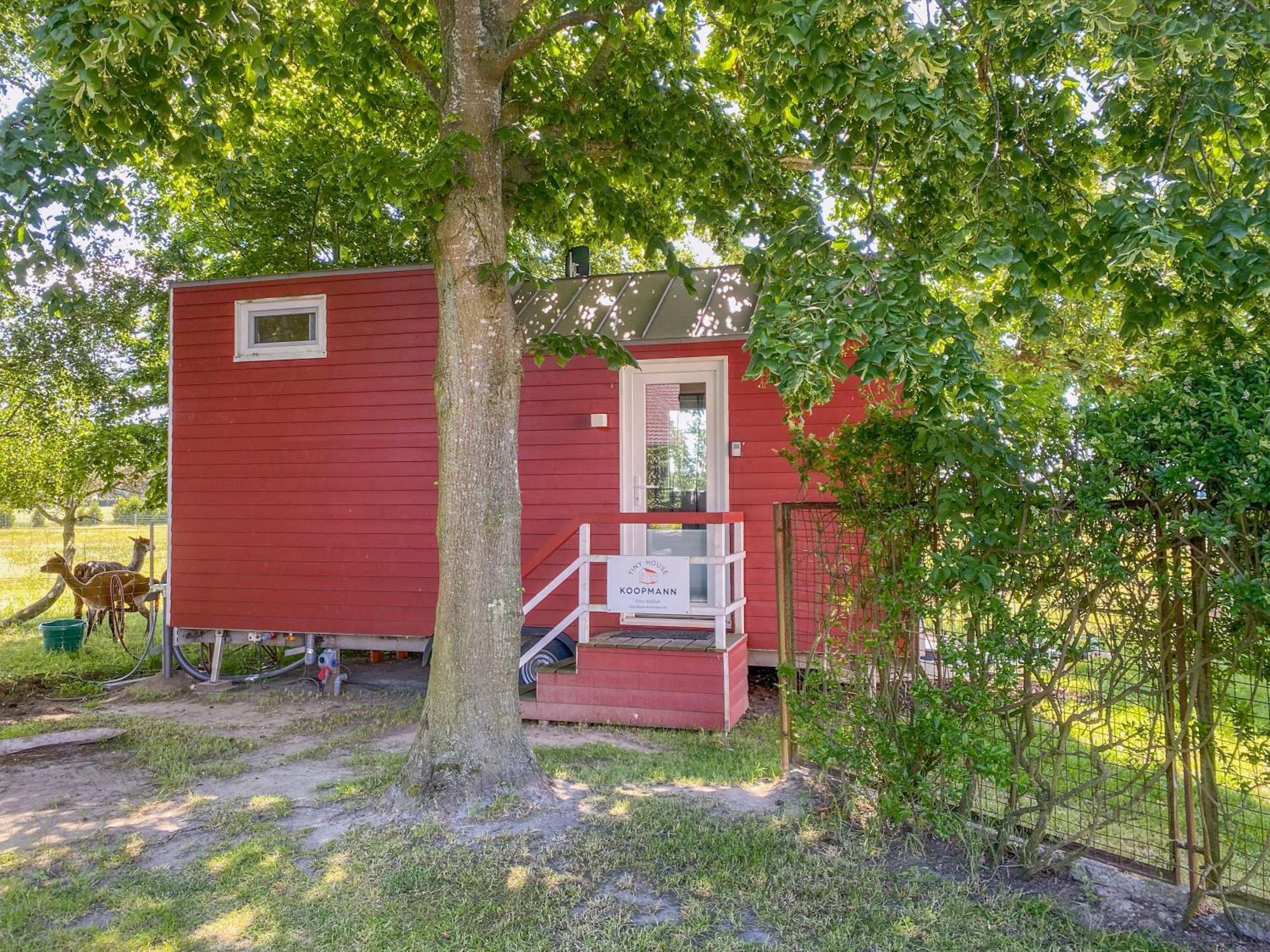 Tiny House auf der Alpaka Farm Villa Rubkow Bagian luar foto
